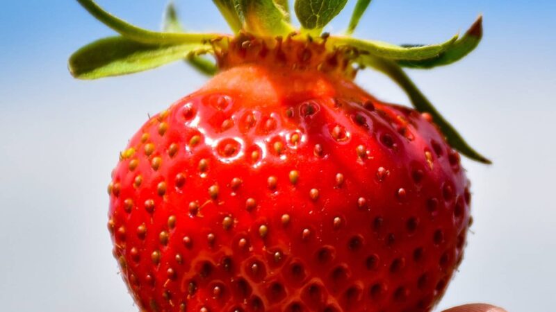 strawberry