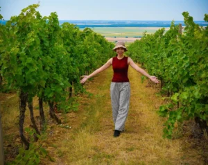 Read more about the article Home Wine Making – More Than Just Wine