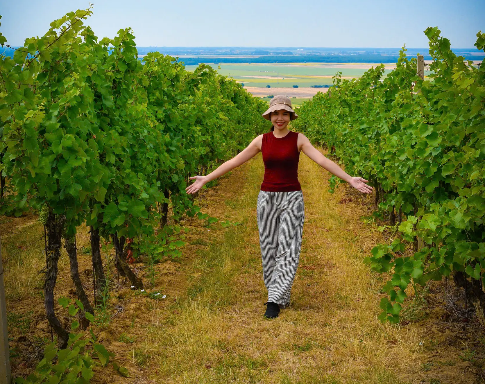 Pročitajte više o članku Home Wine Making – More Than Just Wine