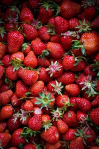 Read more about the article My Garden
